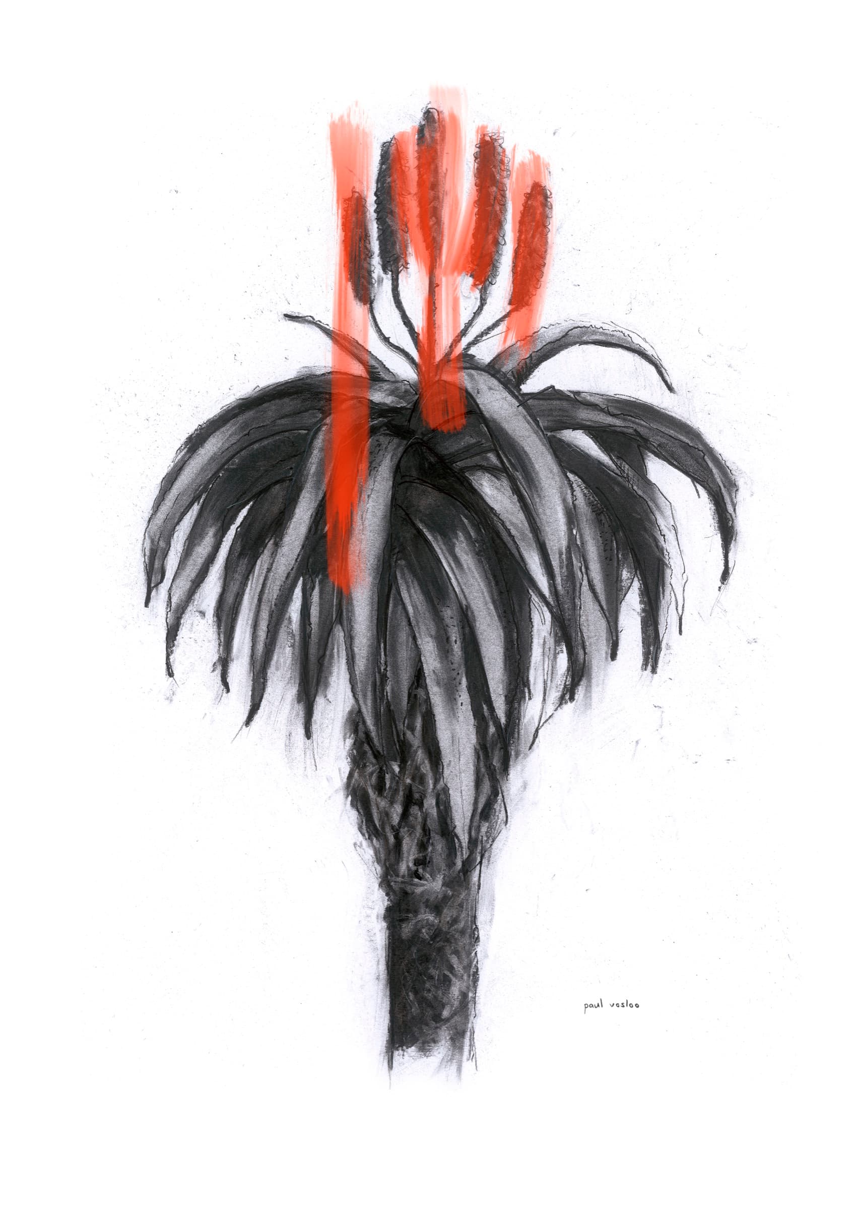 Aloe IV Red — Fine art print by Paul Vosloo