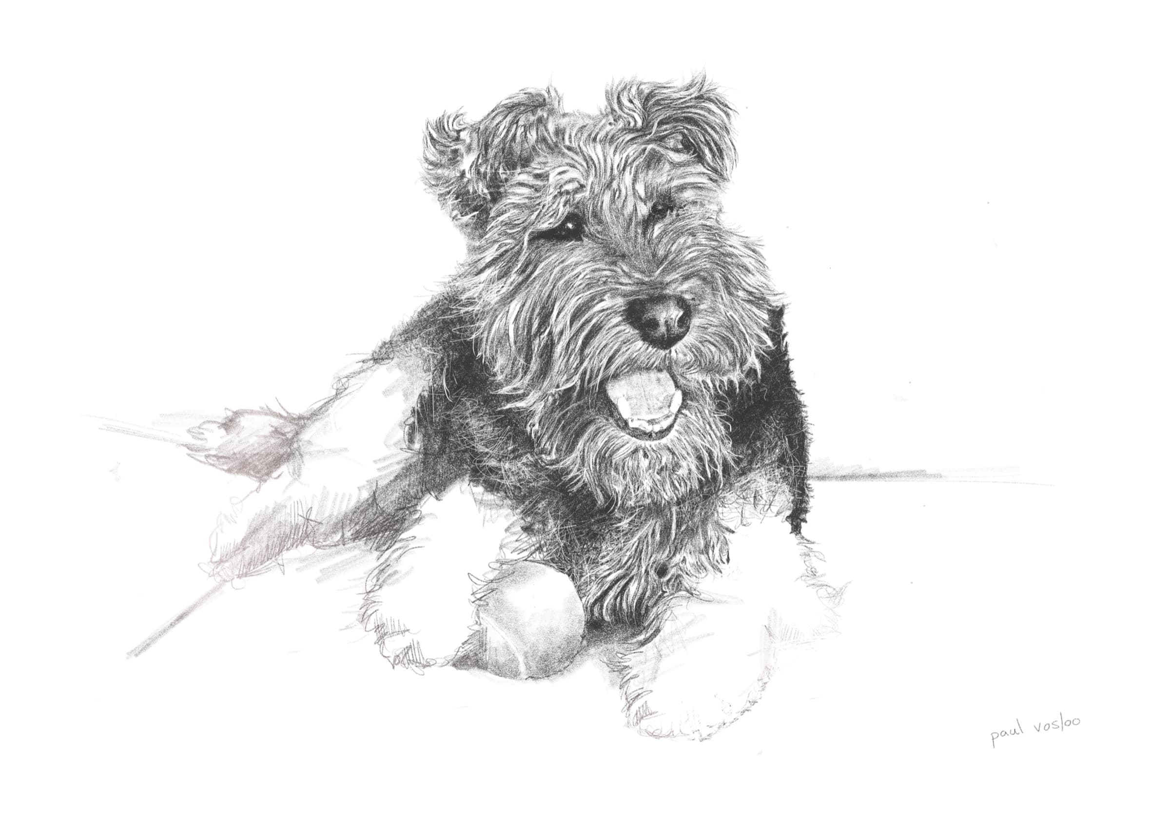 Ralph — Pencil on paper by Paul Vosloo