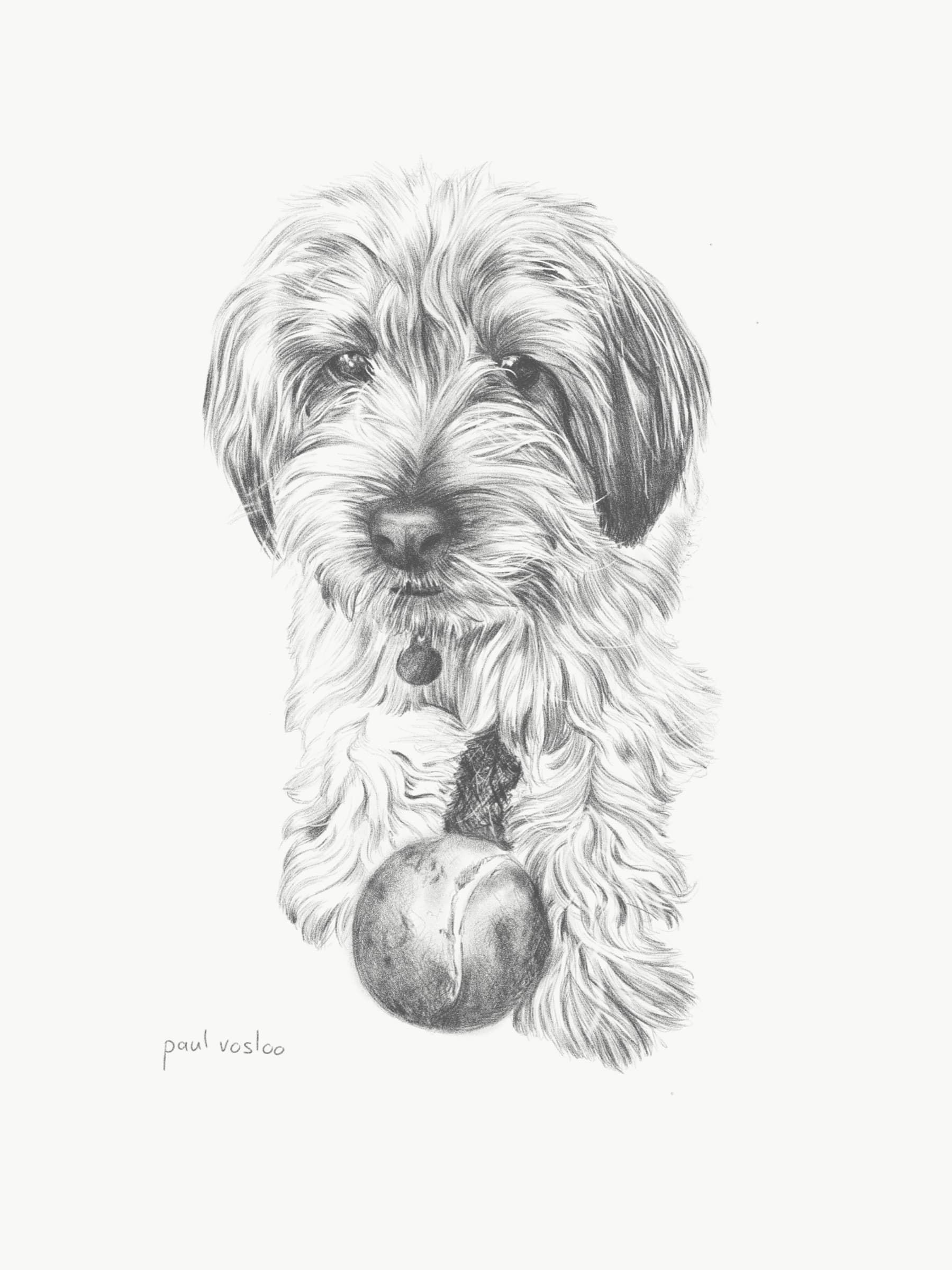 Sally — Pencil on paper by Paul Vosloo