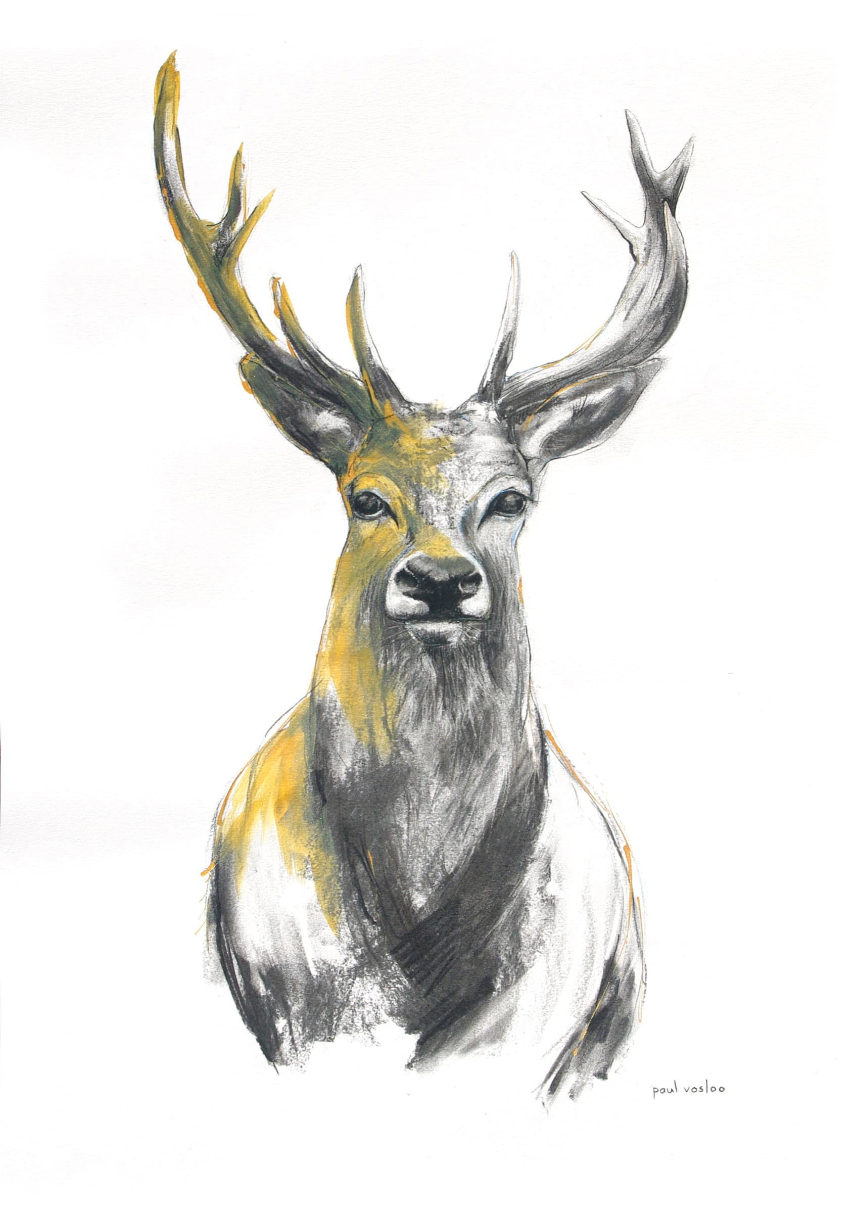 Temporary crowns — Charcoal with gold ink by Paul Vosloo