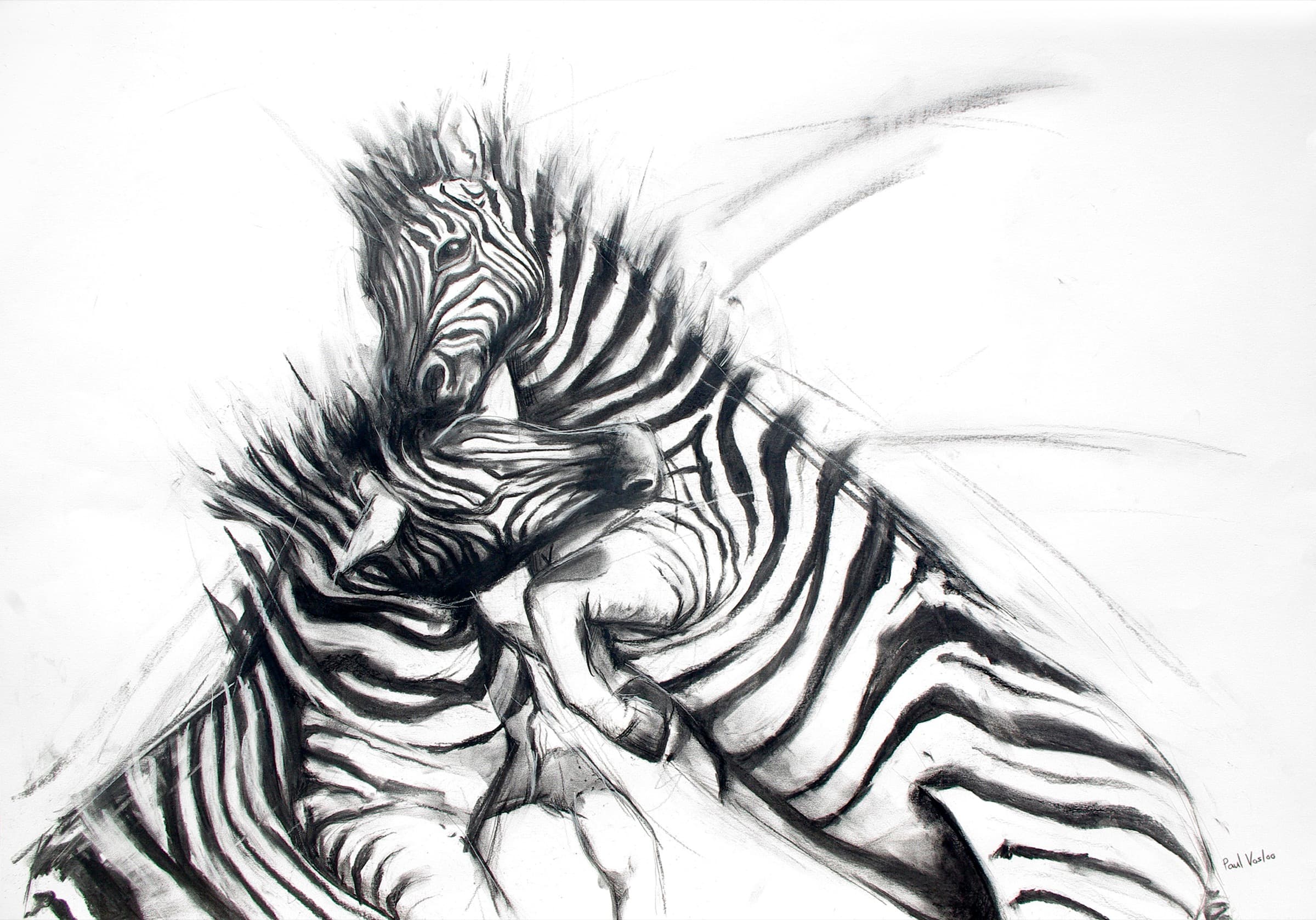 Battle Lines — Charcoal by Paul Vosloo