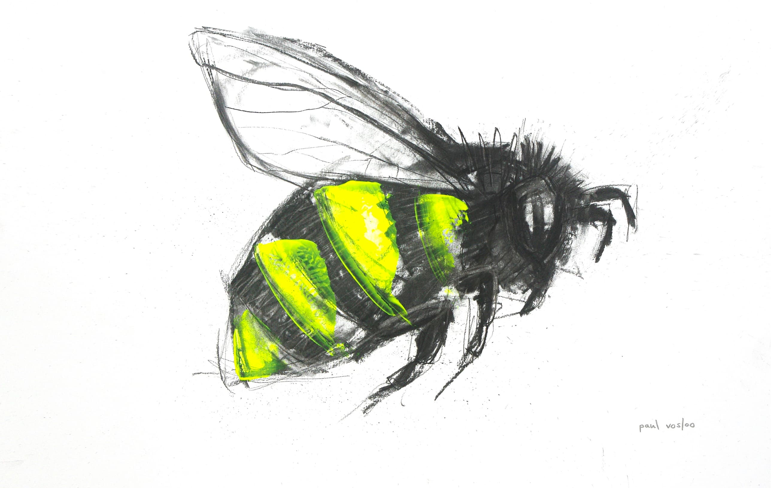 Electric Insects II — Charcoal & acrylic by Paul Vosloo