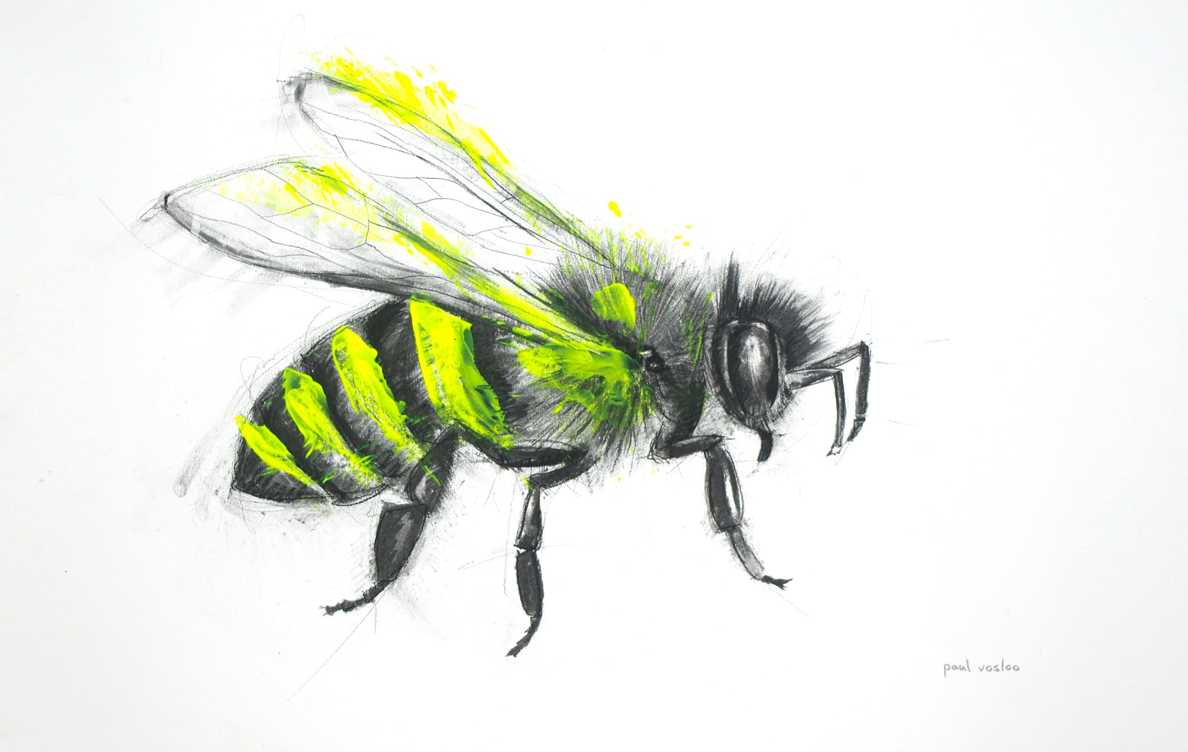 Electric Insects I — Charcoal & acrylic by Paul Vosloo