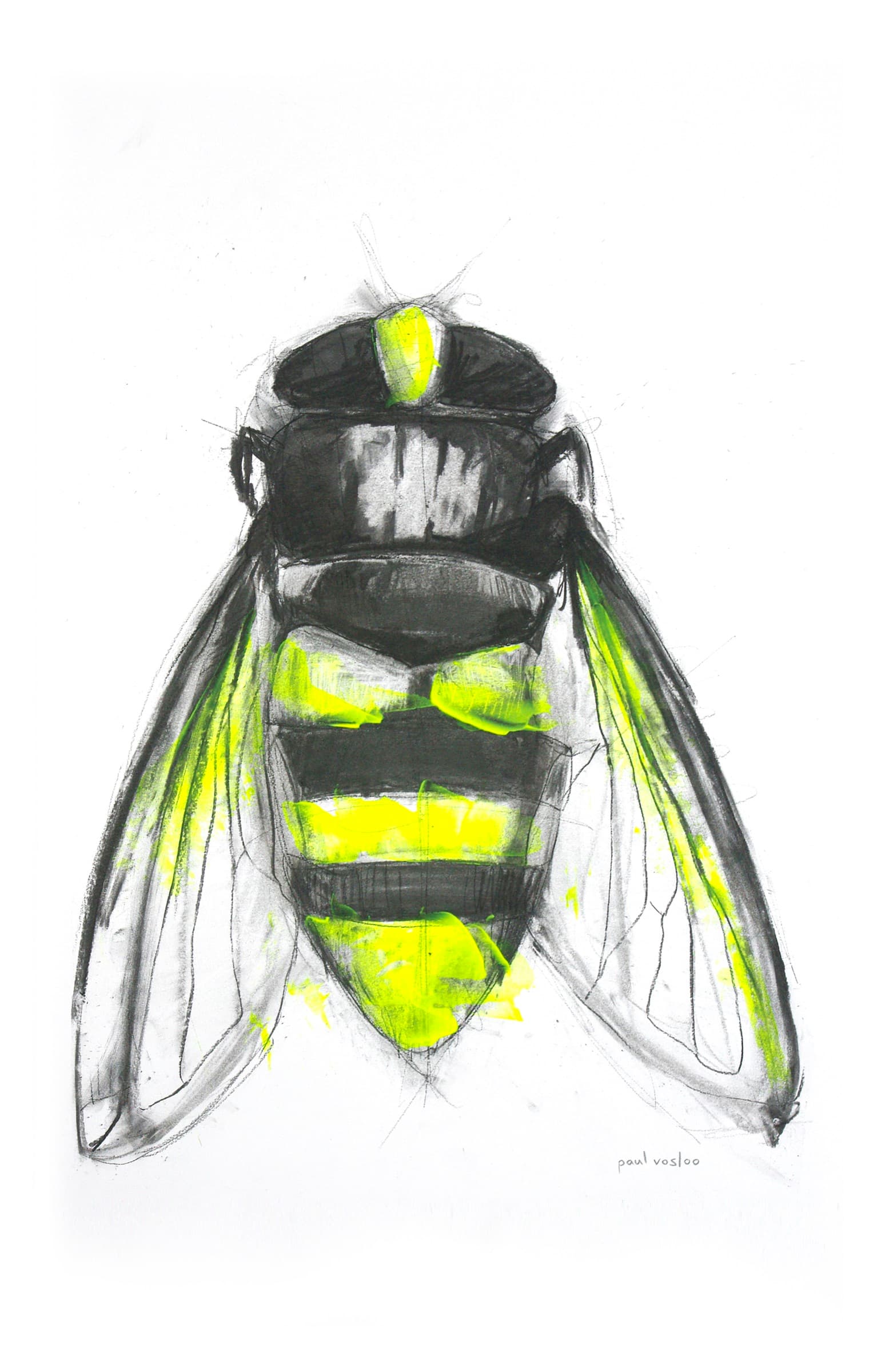 Electric Insects III — Charcoal & acrylic by Paul Vosloo