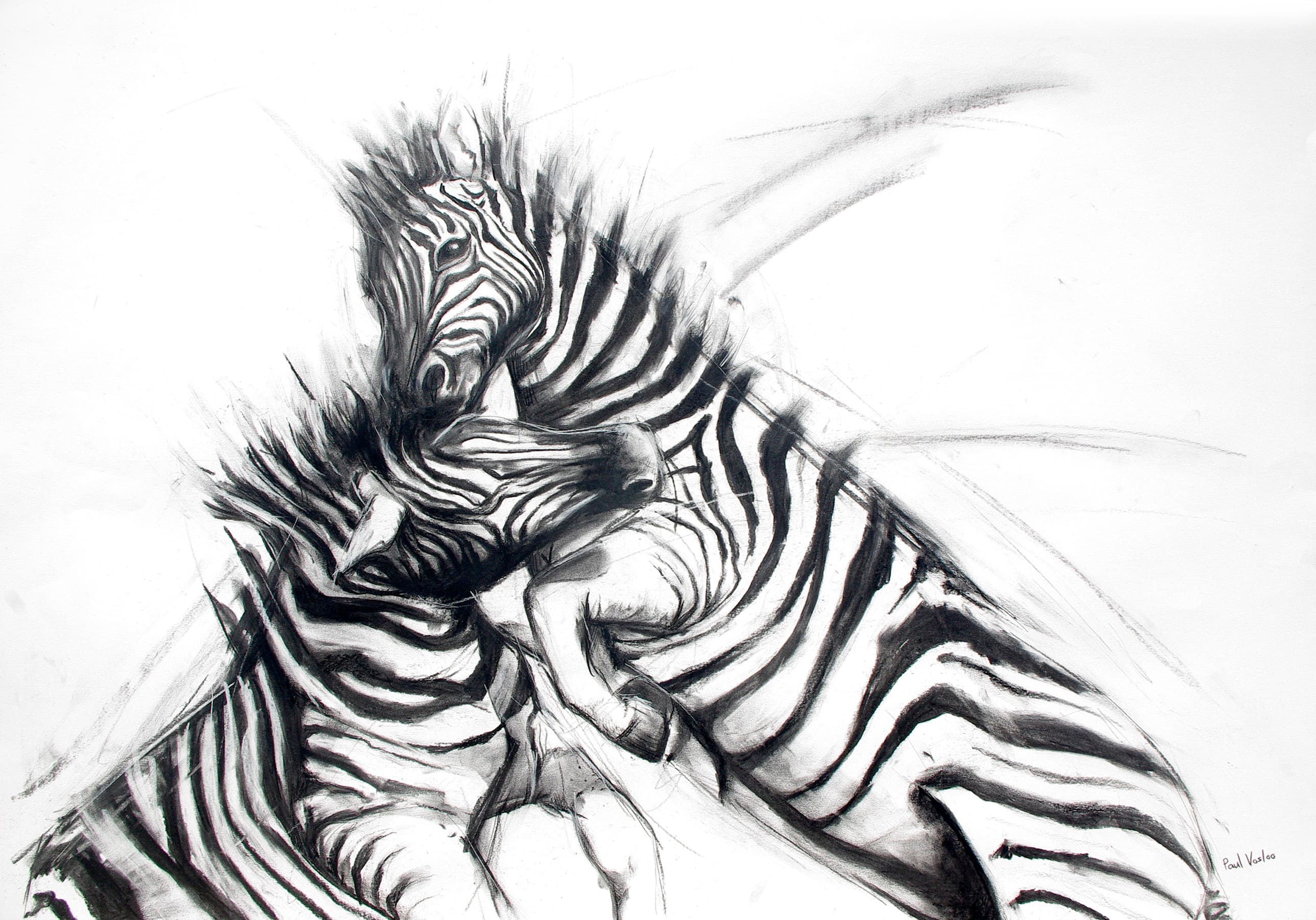 Battle Lines — Charcoal by Paul Vosloo